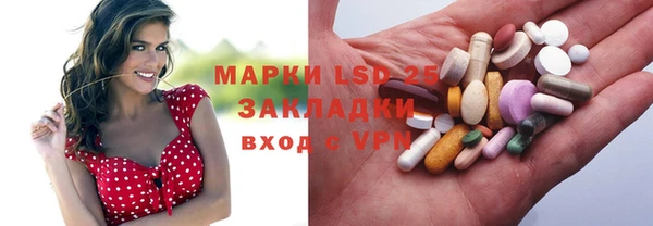 спиды Ельня