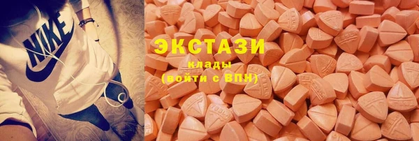 спиды Ельня