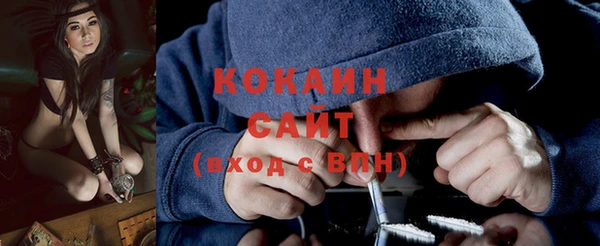 спиды Ельня