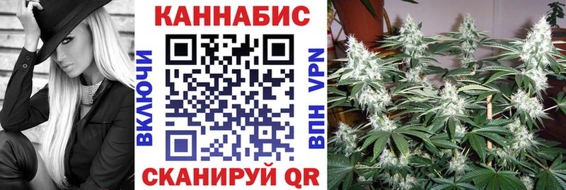 Канабис сатива  Купить закладки  Змеиногорск 